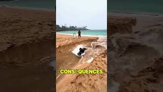 Ils ont changé le paysage de la Terre 😱