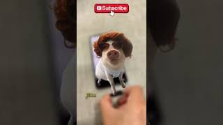 POV Ketika berkelahi dan pamer otot tapi ternyata #videolucu #shorts #lucu