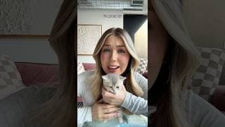 MY KITTEN HAS TO WEAR A CONE😭