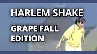 Harlem Shake : Grape Lady Falls Edition (original)