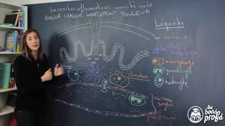 Réaction inflammatoire : l'immunité innée - SVT - Les Bons Profs