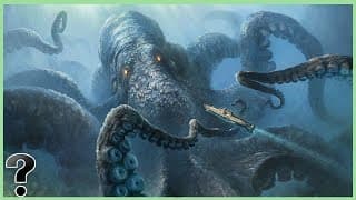 What If The Kraken Was Real?