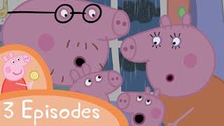 Can Daddy Pig save Teddy from the rain! | Videos for Kids | Mini Movie | Peppa Pig Videos
