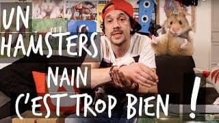UN HAMSTER NAIN C'EST TROP BIEN !! - TUTO TOOPET