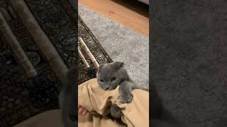 Sister Minnie is a Big Iblis