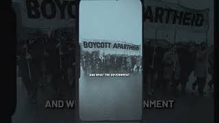 This MegaTower Has A Dark Past (Ponte Tower / Peach Trees)