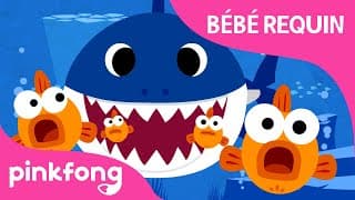 Bébé Requin | Chansons d’animaux | Pinkfong, Bébé Requin ! Chansons pour Enfants