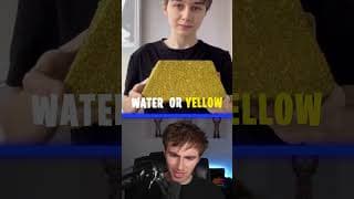 GUESS the Color! (1% PASS) 🤯