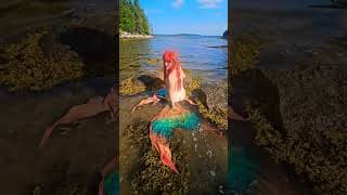 Mermaid in Sea #mermaidlife #swim #summervibes #summershorts #mermaid #canada #beach #sea