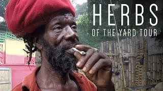 Herbs of the Yard Tour