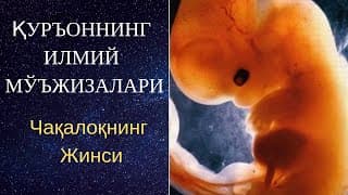 "Чақалоқнинг жинси" Қуръон Мўъжизалари/ "Chaqaloqning Jinsi" Qur'on Mo'jizalari