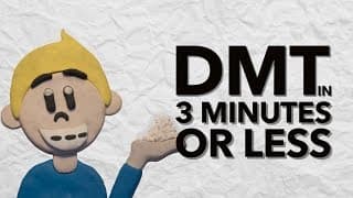 The History of DMT in 3 Minutes