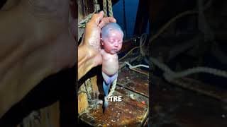 Si vous voyez ce bébé, fuyez vite ! 😱🍼 #viralvideo