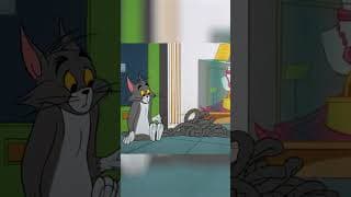 Pauvre Tom... 😞​ Encore râté ! #tometjerry #shorts @CartoonitoFrance