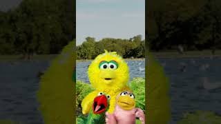 Baby Big Bird Sings La La La 🎵 #sesamestreet