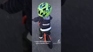1 year old @kashius.alexander riding a pedal bike, no training wheels! (Ig: @kashius.alexander)