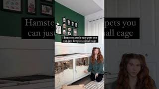 “It’s going to die in a year” #hamsters #hamstercare #pets