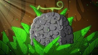 TOP 5 DES FRUITS DU DÉMON SURPUISSANTS DANS ONE PIECE !!