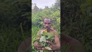 Shampoo 🫧🌿#plant #natural #shower #korowai #papua