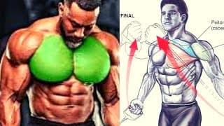 The best  programme Musculation  Pecs,Biceps,Avant bras Mois1