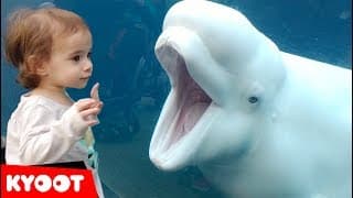 Girl SPOOKED By A Beluga Whale 🐳 Funny Kids at the Aquarium