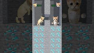 Mining Cats😎
