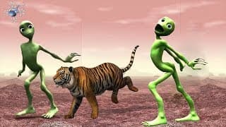 Nama dan suara binatang untuk anak-anak | Suara binatang liar | Suara hewan dan bayi menari