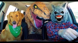 Wolf Surprises Puppy & T-Rex with Car Ride Chase!