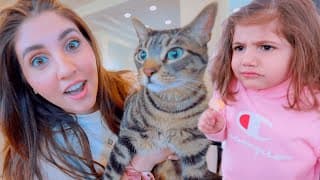 3 Year old Meets a Cat for the First Time!