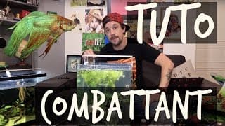 TUTO COMBATTANT ! - TOOPET