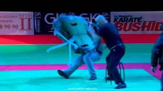 Le teaser du festival des arts martiaux 2012