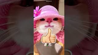 ベッドの下の正体に全員が驚いた!😱 #viral #shorts