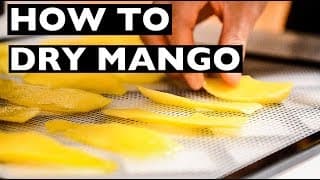 VEGAN rev Cooking Tips - How to Dry or Dehydrate Mango Slices! - EP1