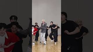 HOSHI X WOOZI (SEVENTEEN) - 'STUPID IDIOT' Dance Mirrored