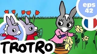 TROTRO - EP42 - Trotro et la tortue