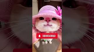 彼女が彼のために作った特別な指輪に感動…💍🥹 #viral #shorts