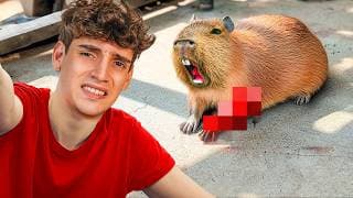 🩸Rescaté Capibara Herido por Ataque de Cocodrilo🩸 con @DilaneSalvaje