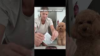 Others dog food vs robbers☠️ #edit #troll #trollface #usa #dogshorts