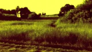Jon and Roy - Vibrant Scene