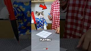 مفاجأة صادمة… قطّها أذكى مما تظن‼️🐾😲