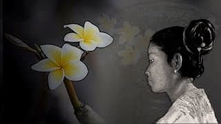 Champa Muang Lao ຈຳປາເມືອງລາວ