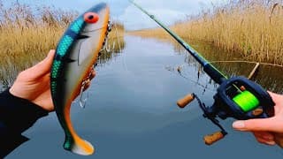 Un leurre géant pour pêcher le plus gros poisson du canal !!