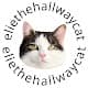 Elie the hallway cat
