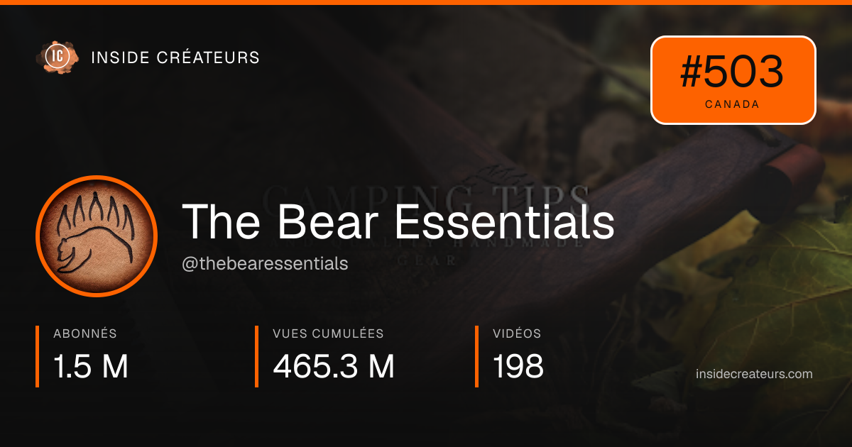 Carte statistiques de The Bear Essentials
