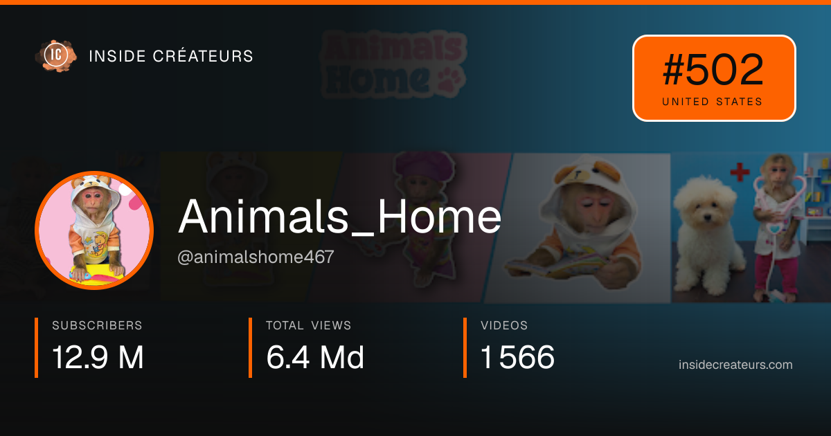  Animals_Home stats card