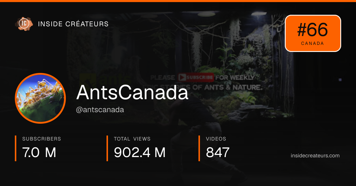 AntsCanada stats card