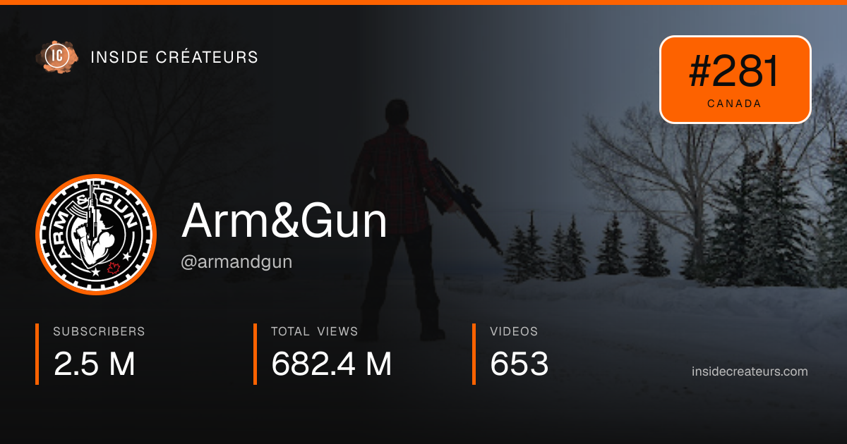 Arm&Gun stats card