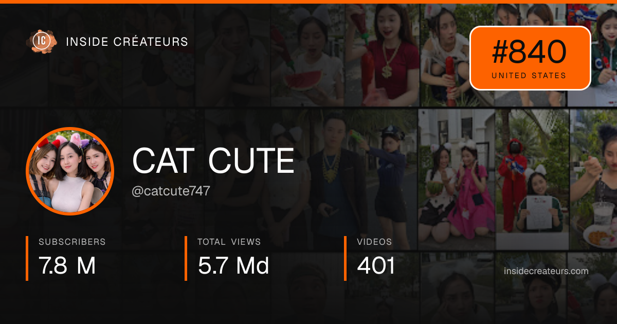CAT CUTE stats card