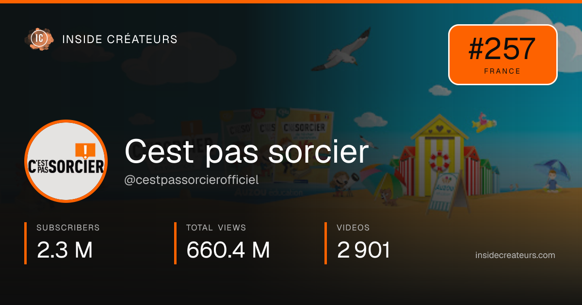 Cest pas sorcier stats card