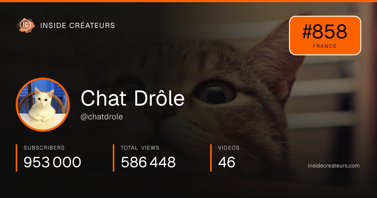 Chat Drôle stats card